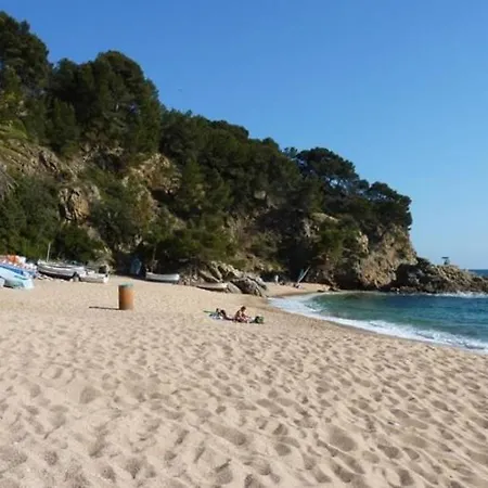 Palmera * Lloret de Mar